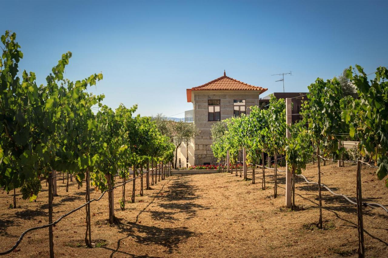 Quinta Do Aido - Winetourism Villa Cinfaes Bagian luar foto